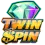 Twin Spin