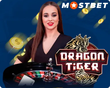 Casinos ao Vivo Experiência