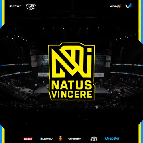 NaVi eSports Team Overview
