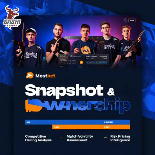 Snapshot & Ownership Sashi Esport