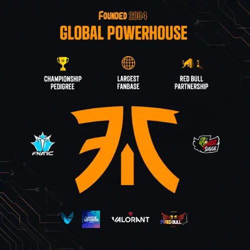 Team Overview Fnatic
