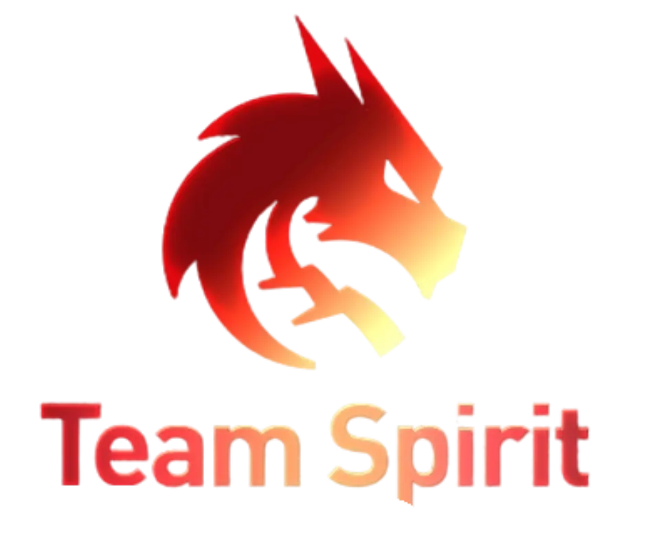 Team Spirit logo