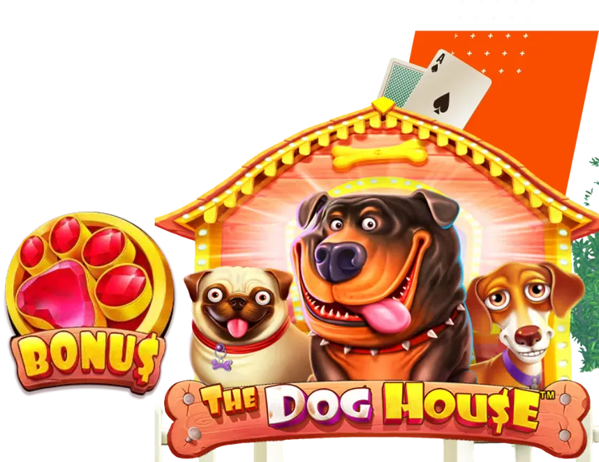 The Dog House Mostbet