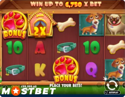 The Dog House Free Spins