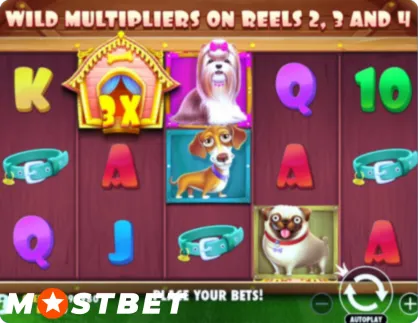 The Dog House Multiplier Wilds