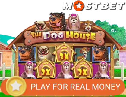The Dog House Real Money