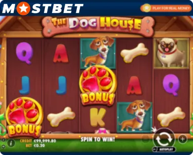 The Dog House Payouts