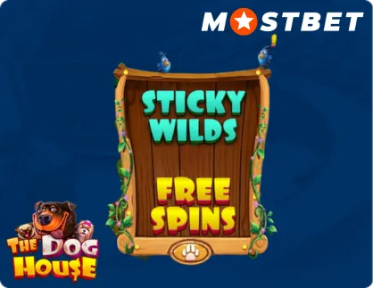 The Dog House Sticky Wilds