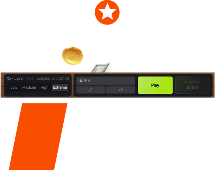 Chicken Pirate Payment Methods