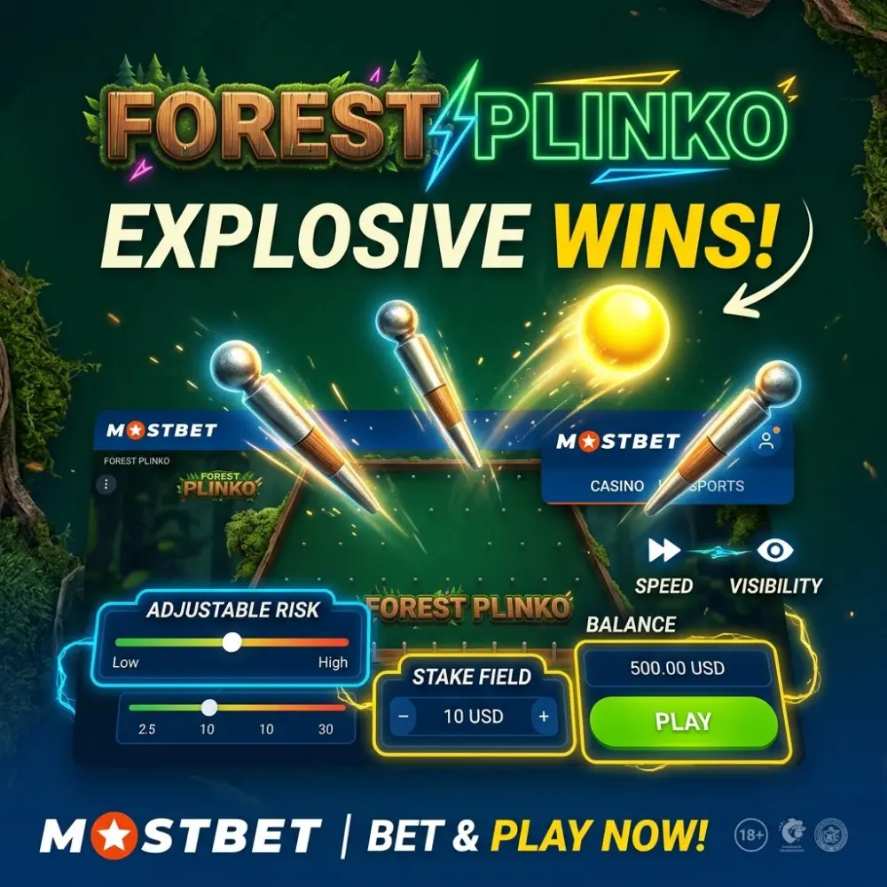 Forest Plinko Game Features