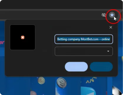 Bookmark Mirror Future Access